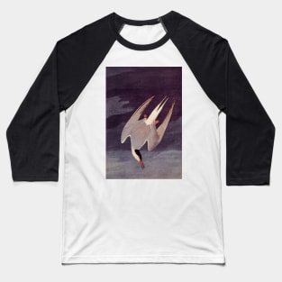 Arctic Tern Baseball T-Shirt